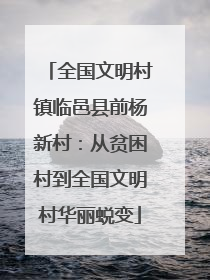 全国文明村镇临邑县前杨新村：从贫困村到全国文明村华丽蜕变